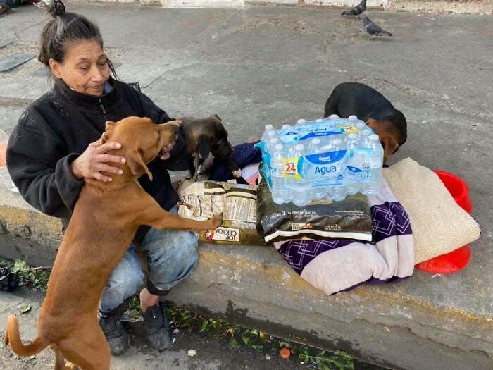 Homeless woman refuses to go to shelter without her dogs – We Care ...